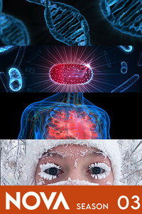 Temporada 3