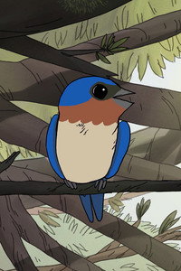 Birds