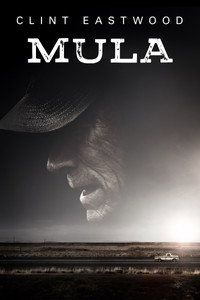 Mula