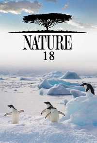 Temporada 18