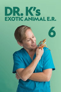 Temporada 6