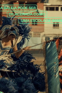 Uma Baleia Pode Ser Dilacerada Como Uma Escola De Samba