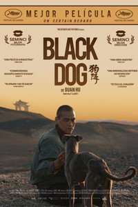 Black Dog