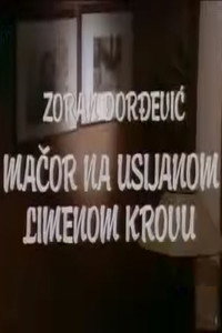 Mačor na usijanom limenom krovu