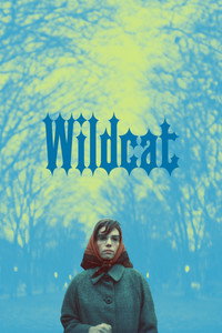 Wildcat