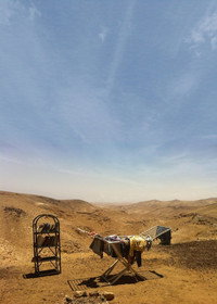 קיץ בערד