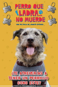 Perro Que Ladra... No Muerde
