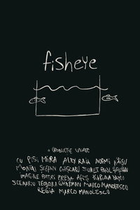 fisheye