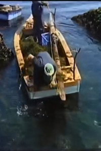 海とお月さまたち