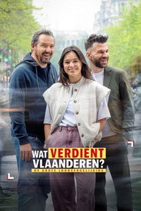 Wat verdient Vlaanderen?