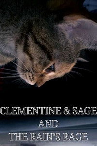 Clementine & Sage and The Rain's Rage
