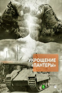 Укрощение «Пантеры»
