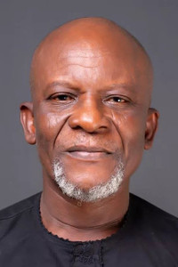 Toyin Oshinaike