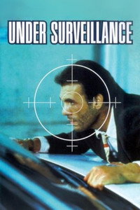 Under Surveillance