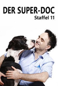Temporada 11