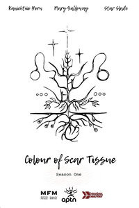 Colour of Scar Tissue
