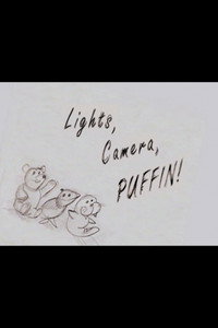 Elf: Lights, Camera, Puffin!