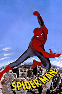 Spider-Man. El hombre araña