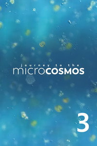 Temporada 3