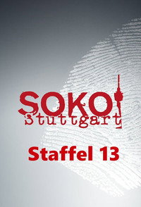 Temporada 13