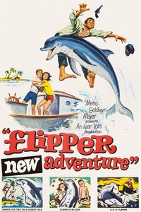 Flipper y los piratas