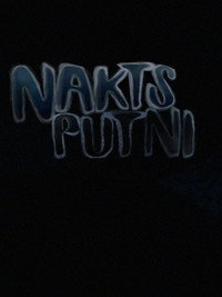Naktsputni