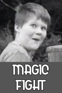 Magic Fight