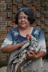 Ira Rebeka