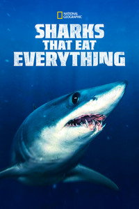 Tiburones que se lo comían todo