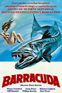 Barracuda