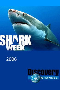 Temporada 19
