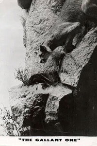 The Gallant One