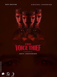 El ladrón de voces