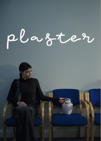 Plaster