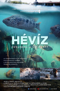 Hévíz − Dzsungel a víz alatt