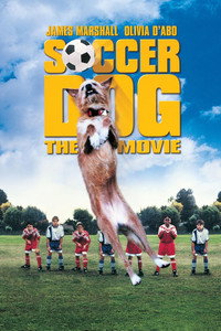 El perro futbolista