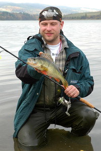 David Havlíček