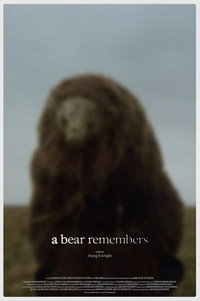 Un oso recuerda