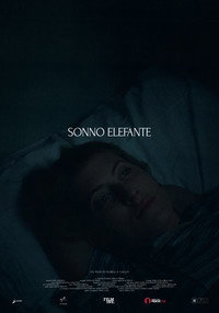 Sonno Elefante