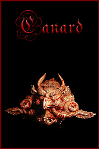 Canard