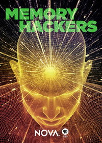 Hackers de la memoria