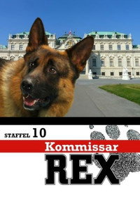 Temporada 10