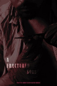 A Fractured Soul