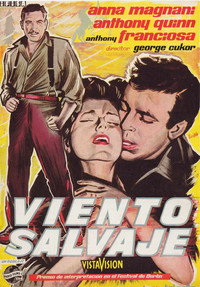 Viento Salvaje