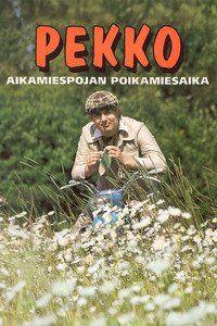 Pekko aikamiespojan poikamiesaika