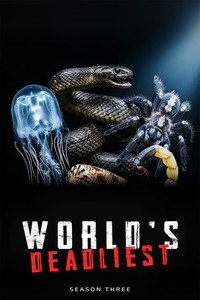 Temporada 3