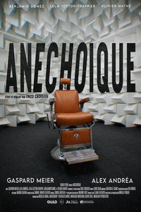 Anecoico