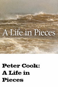 A Life in Pieces