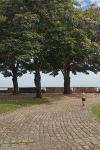 Me levem, nossas manhãs quentes