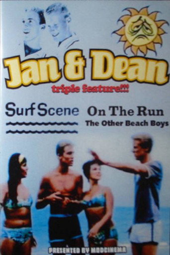 Jan & Dean: On the Run